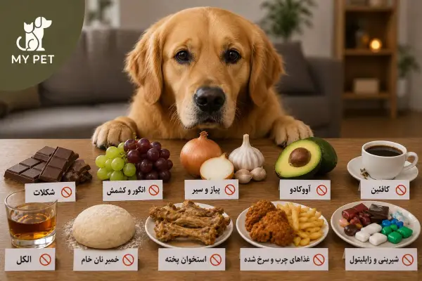 سگی در کنار خوراکی‌های ممنوعه و خطرناک برای حیوانات خانگی؛ تصویری آموزشی که اهمیت آشنایی با غذاهای مضر و پیشگیری از مسمومیت غذایی در سگ‌ها را نشان می‌دهد. لوگوی MY PET در گوشه تصویر قرار گرفته است.